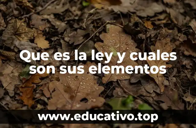 Que es la ley y cuales son sus elementos