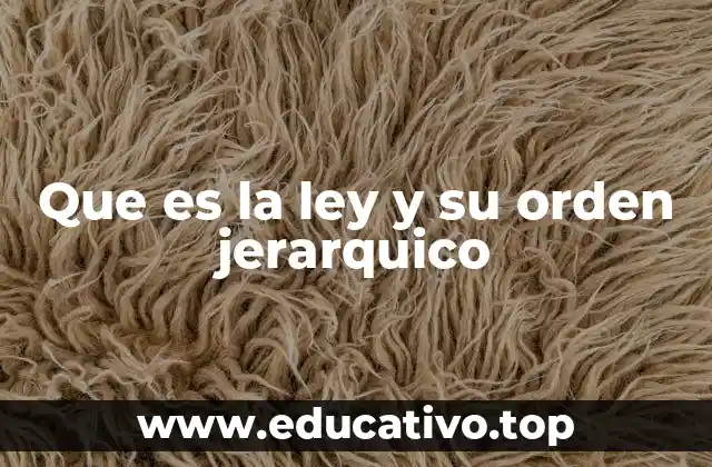 Que es la ley y su orden jerarquico