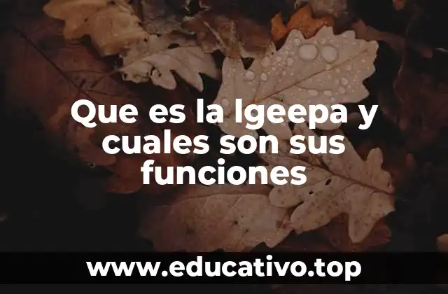 Que es la lgeepa y cuales son sus funciones