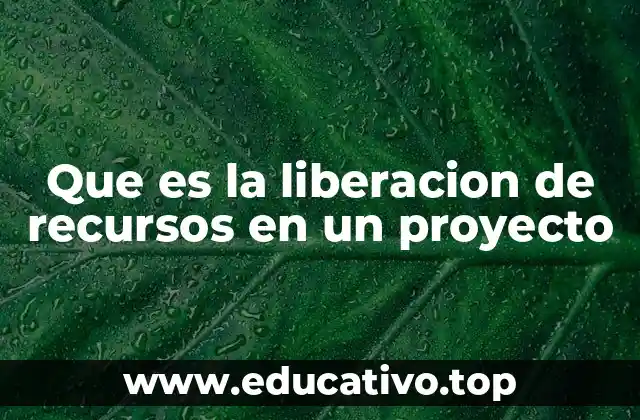 Que es la liberacion de recursos en un proyecto