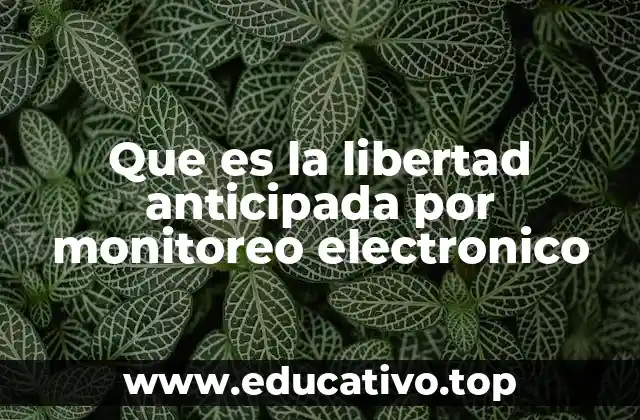 El impacto del monitoreo tecnológico en el sistema penitenciario