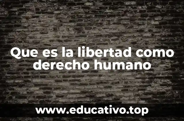 Que es la libertad como derecho humano