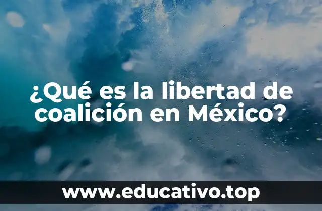 ¿Qué es la libertad de coalición en México?
