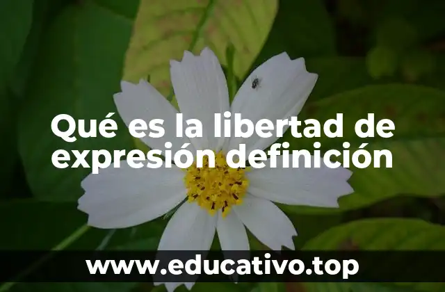El derecho a opinar y debatir en la sociedad