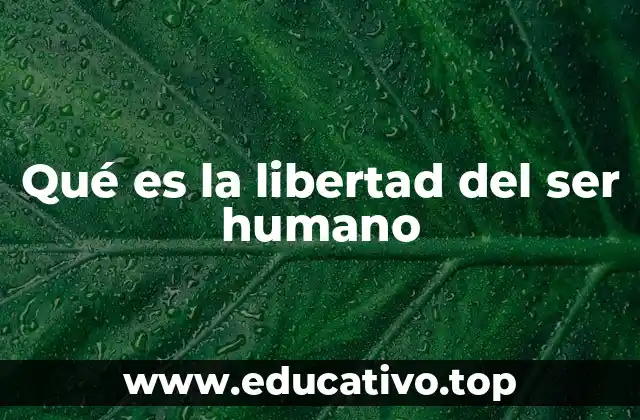 Qué es la libertad del ser humano