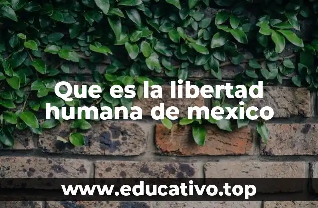 Que es la libertad humana de mexico
