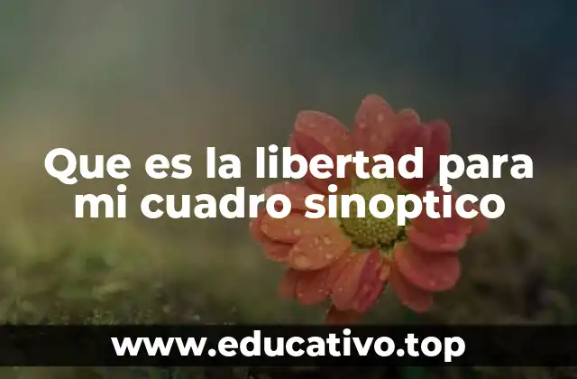 Que es la libertad para mi cuadro sinoptico