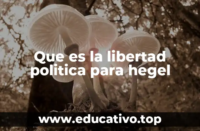 Que es la libertad politica para hegel