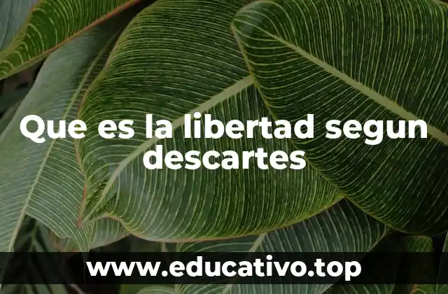 Que es la libertad segun descartes