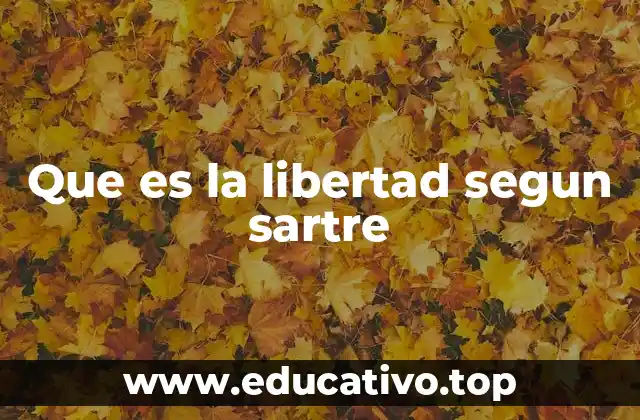Que es la libertad segun sartre