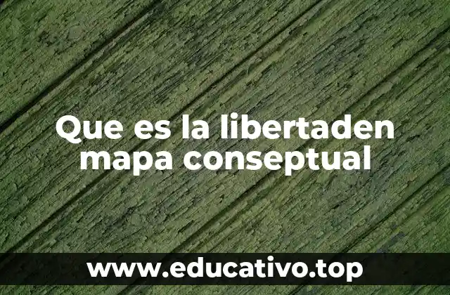 Que es la libertaden mapa conseptual