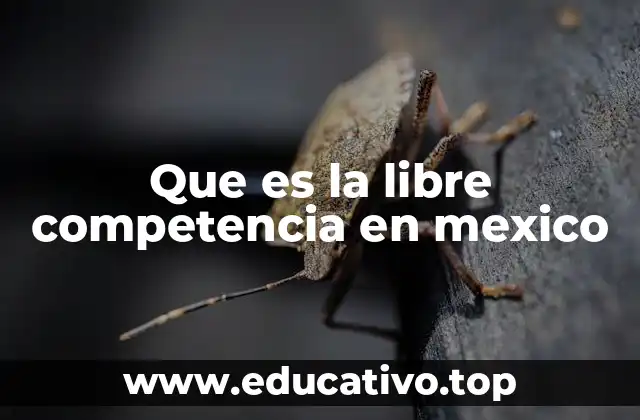 Que es la libre competencia en mexico