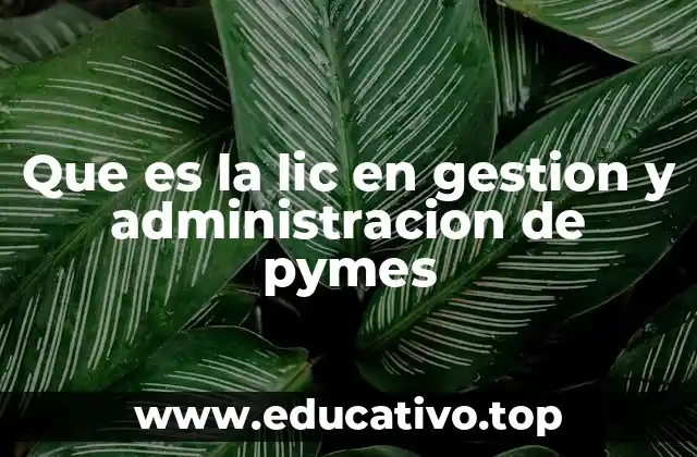 Que es la lic en gestion y administracion de pymes