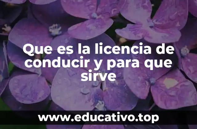 Que es la licencia de conducir y para que sirve
