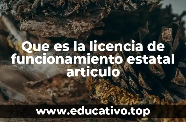 Que es la licencia de funcionamiento estatal articulo