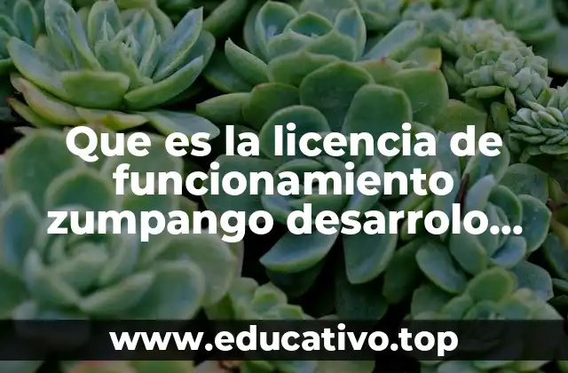 Requisitos para obtener la licencia de funcionamiento en Zumpango