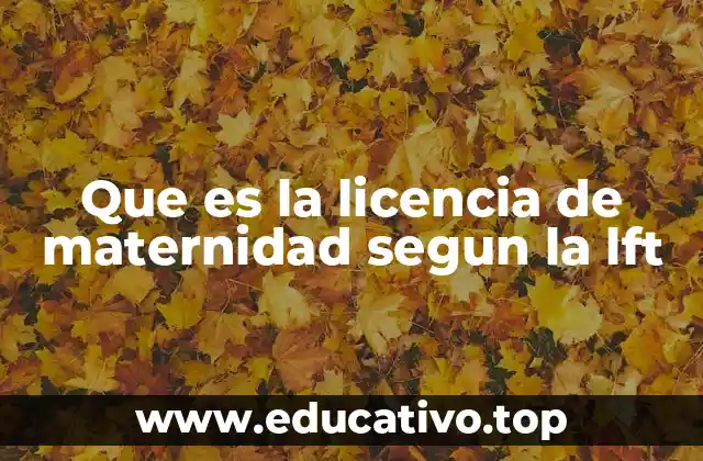 Que es la licencia de maternidad segun la lft