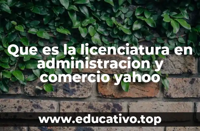 Que es la licenciatura en administracion y comercio yahoo