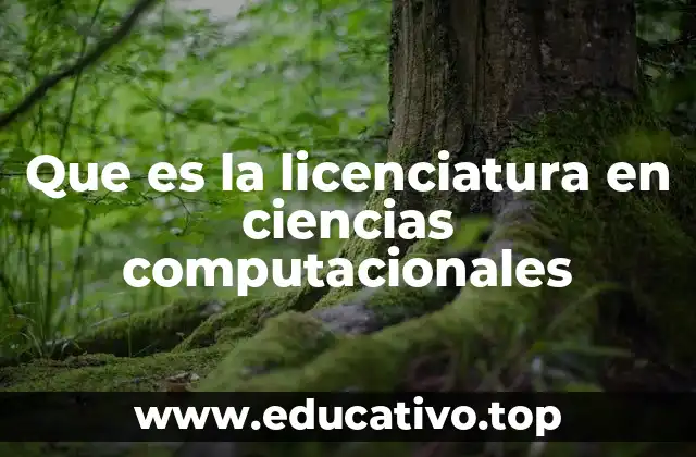 Que es la licenciatura en ciencias computacionales