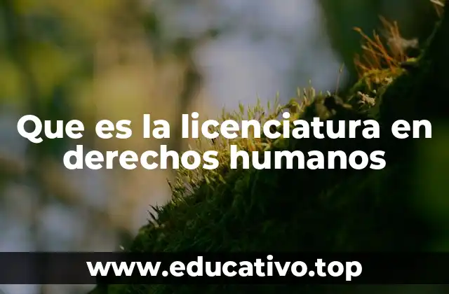 La formación académica detrás de la defensa de los derechos fundamentales