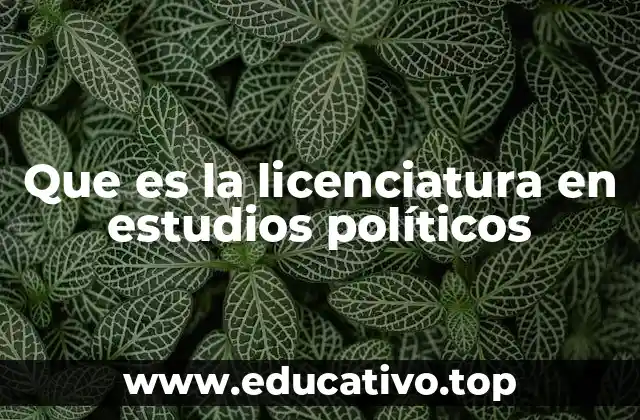 Que es la licenciatura en estudios políticos