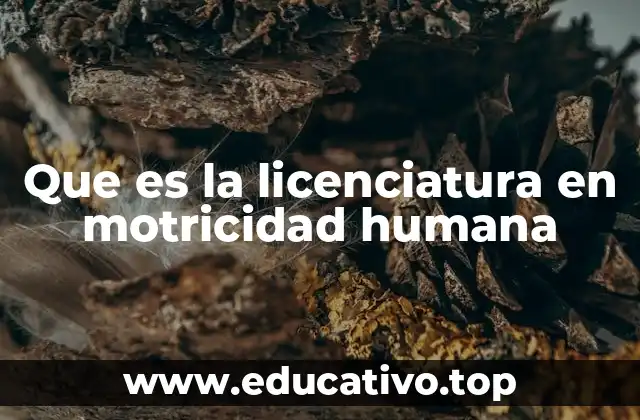 Que es la licenciatura en motricidad humana
