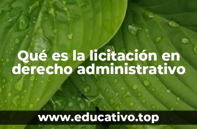 Qué es la licitación en derecho administrativo