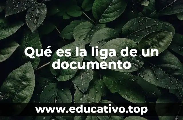 Qué es la liga de un documento