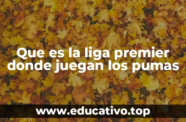 El Pumas y su lugar en el fútbol profesional mexicano