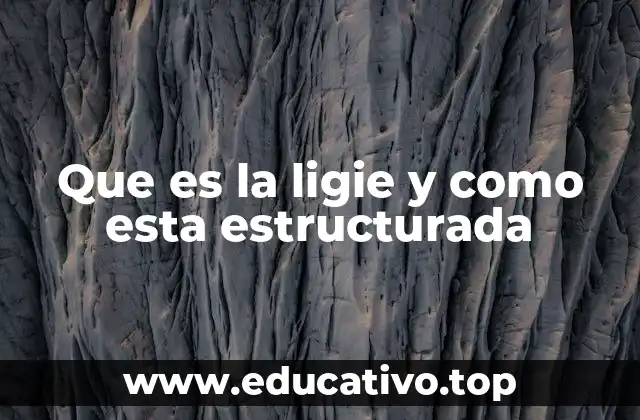 Que es la ligie y como esta estructurada