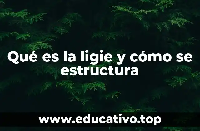 La dinámica de la ligie en contextos sociales