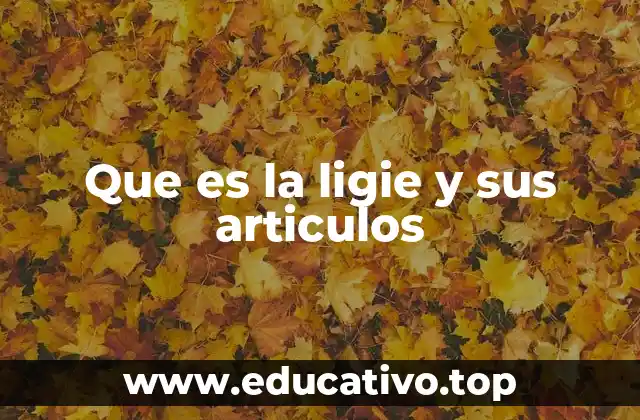 Que es la ligie y sus articulos