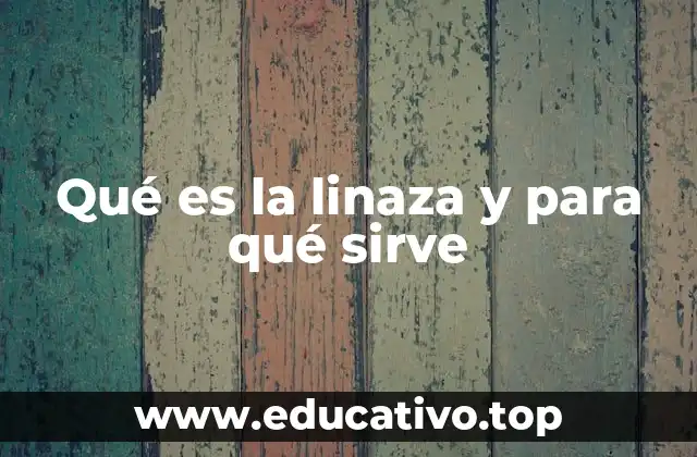 Qué es la linaza y para qué sirve