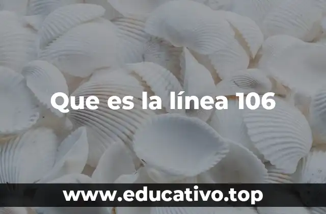 Que es la línea 106