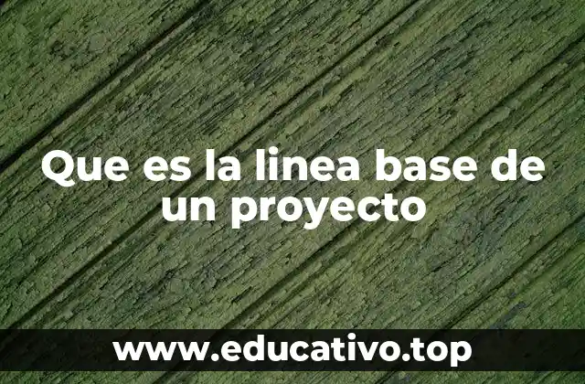 La importancia de establecer una línea base