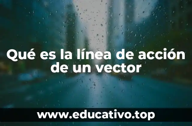 Qué es la línea de acción de un vector