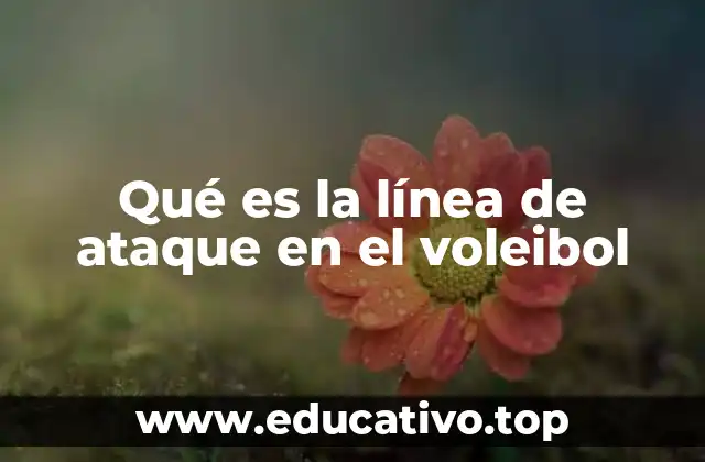 La importancia de la línea de ataque en las reglas del voleibol