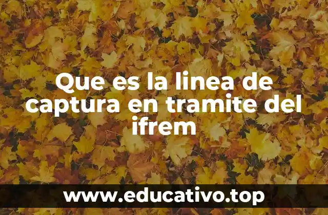 Que es la linea de captura en tramite del ifrem
