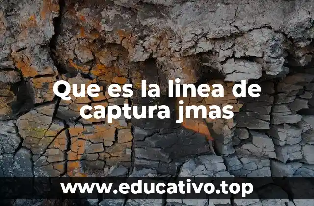 Que es la linea de captura jmas