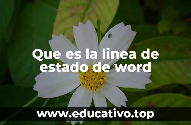 Que es la linea de estado de word