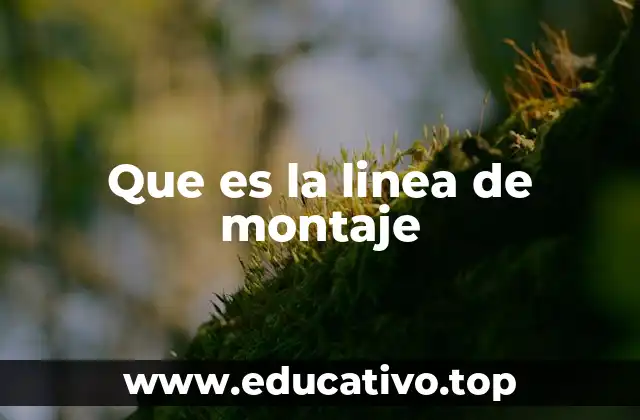 Que es la linea de montaje