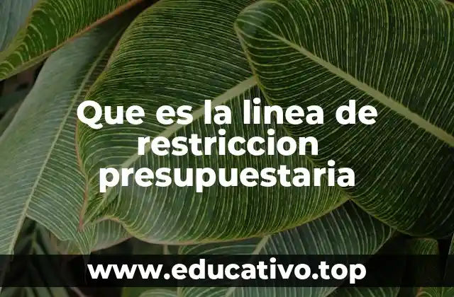 Que es la linea de restriccion presupuestaria