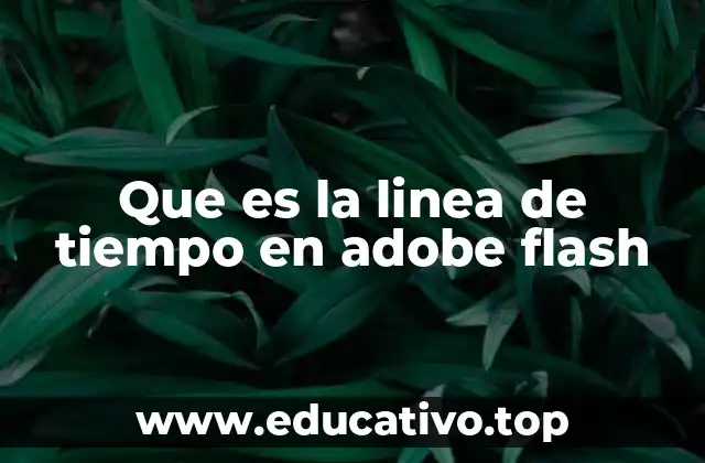 Que es la linea de tiempo en adobe flash