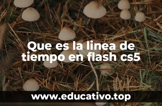 Que es la linea de tiempo en flash cs5