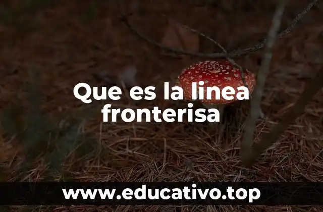 Que es la linea fronterisa