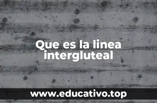 La importancia anatómica de la separación glútea