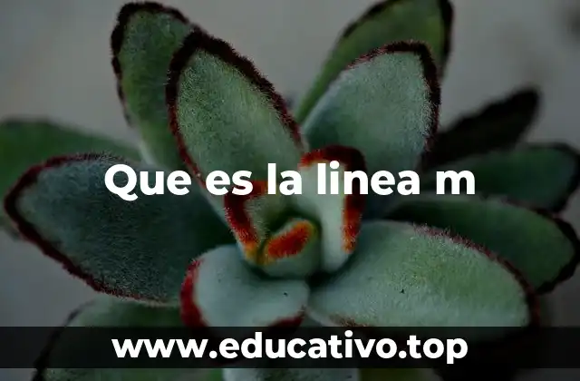 Que es la linea m