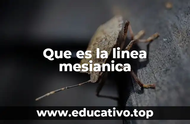 Que es la linea mesianica
