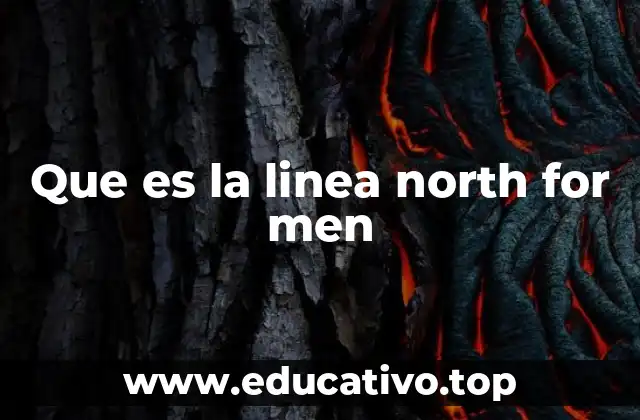 Que es la linea north for men