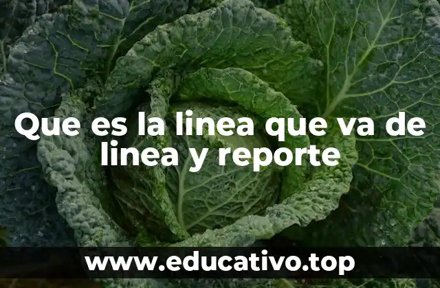Que es la linea que va de linea y reporte